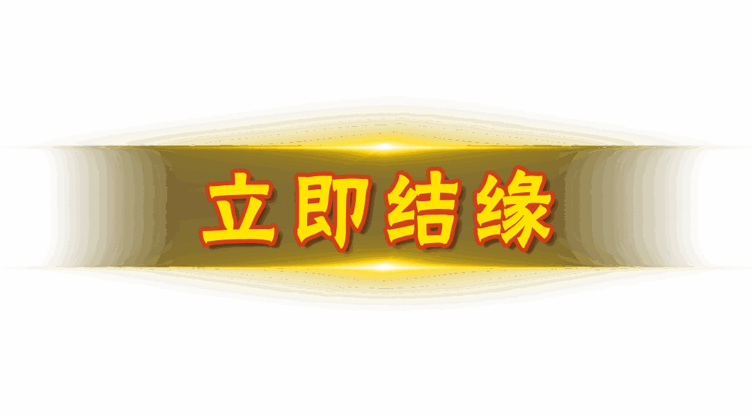 Service